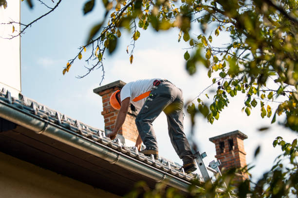 Best Residential Roofing Contractor  in Tower Lakes, IL