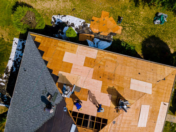 Best Local Roofing Companies  in Tower Lakes, IL