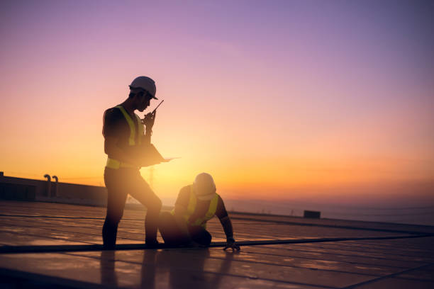 Best Flat Roof Repair Services  in Tower Lakes, IL