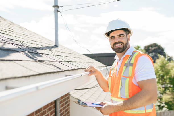 Best Roof Gutter Cleaning  in Tower Lakes, IL